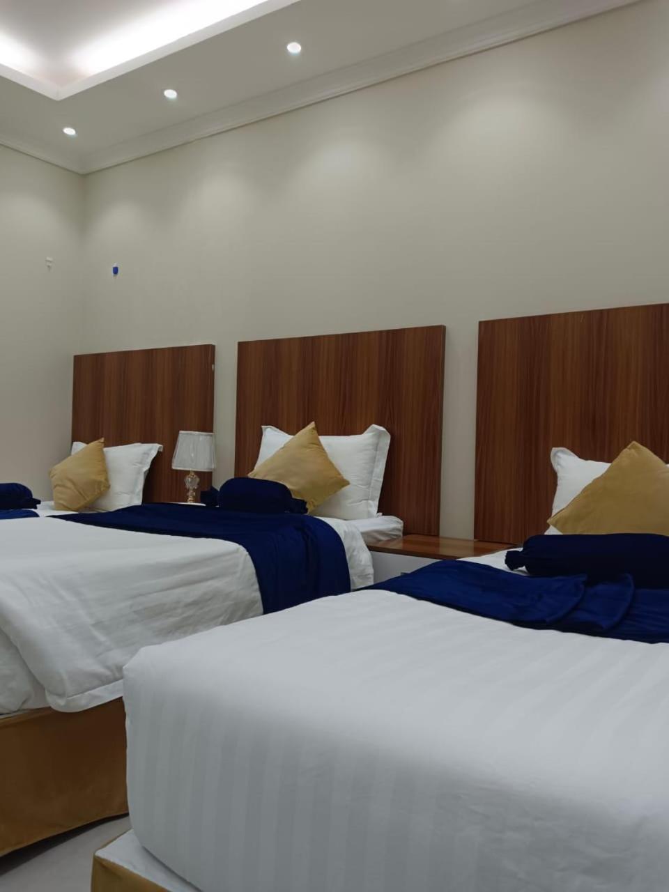 Apartment الضيف
